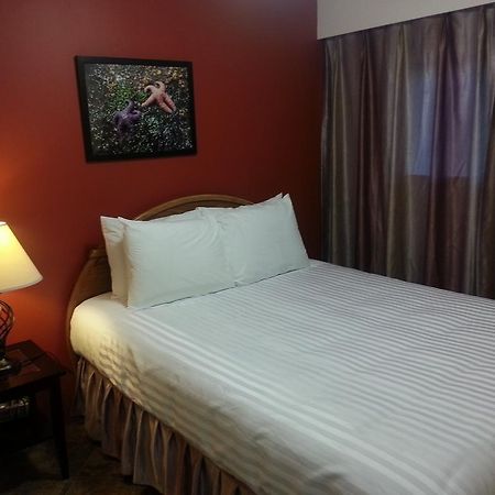 كامبل ريفر Edgewater Motel المظهر الخارجي الصورة